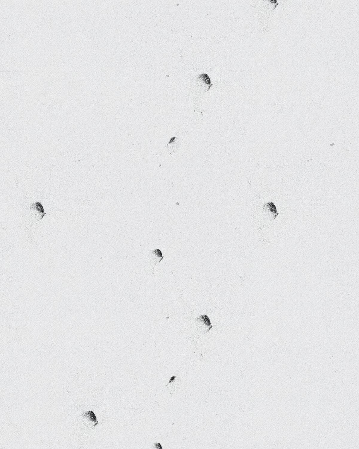 Limestone